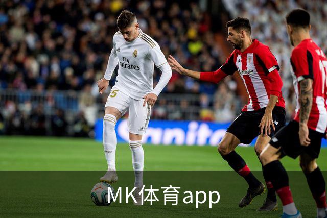 MK体育app公司简介